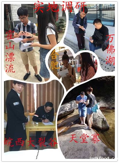 皖西旅游市场调研活动